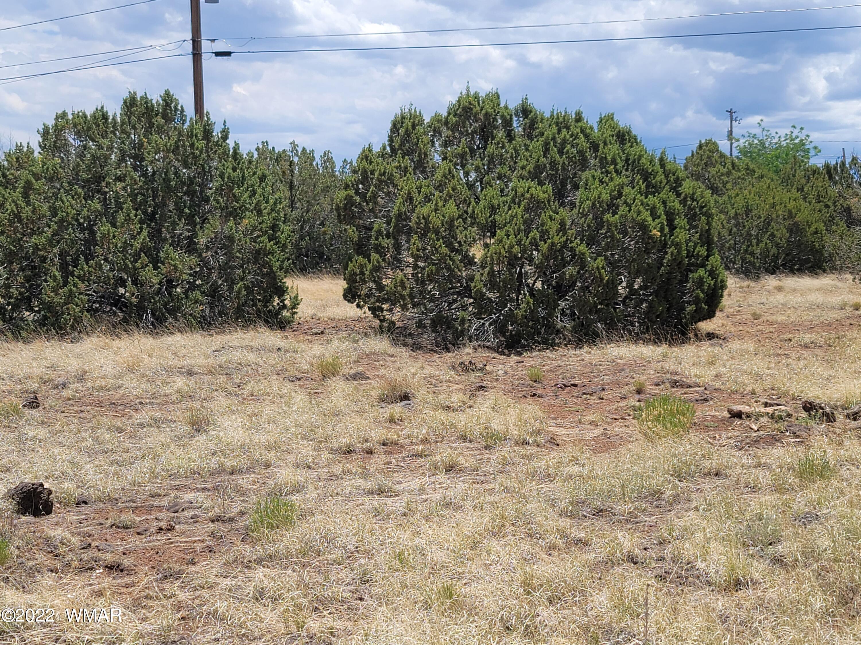 8593 Foley Place Show Low, AZ 85901 - Photo 3 of 4