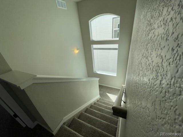 534 Ryan Avenue Fort Lupton, CO 80621 - Photo 9 of 25