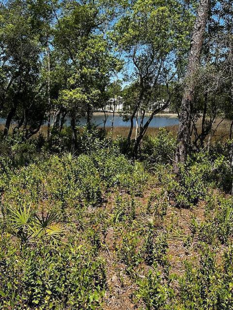 22114 Marsh Rabbit Run Panama City Beach, FL 32413 - Photo 2 of 16 a view of a yard with plants and large trees