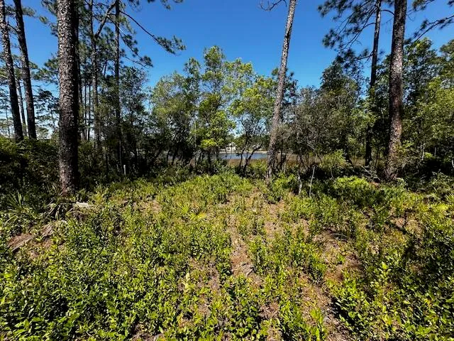 a view of a house with a tree