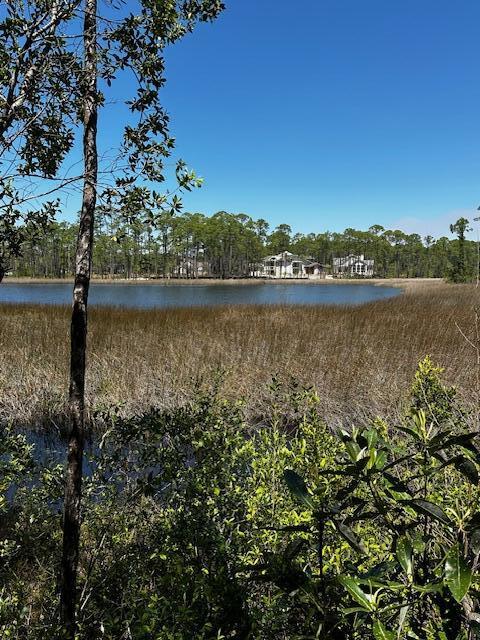 22114 Marsh Rabbit Run Panama City Beach, FL 32413 - Photo 5 of 16 a view of a lake with a mountain in the background