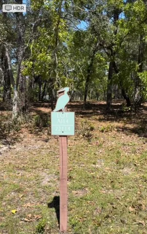 a view of a lake with a mountain