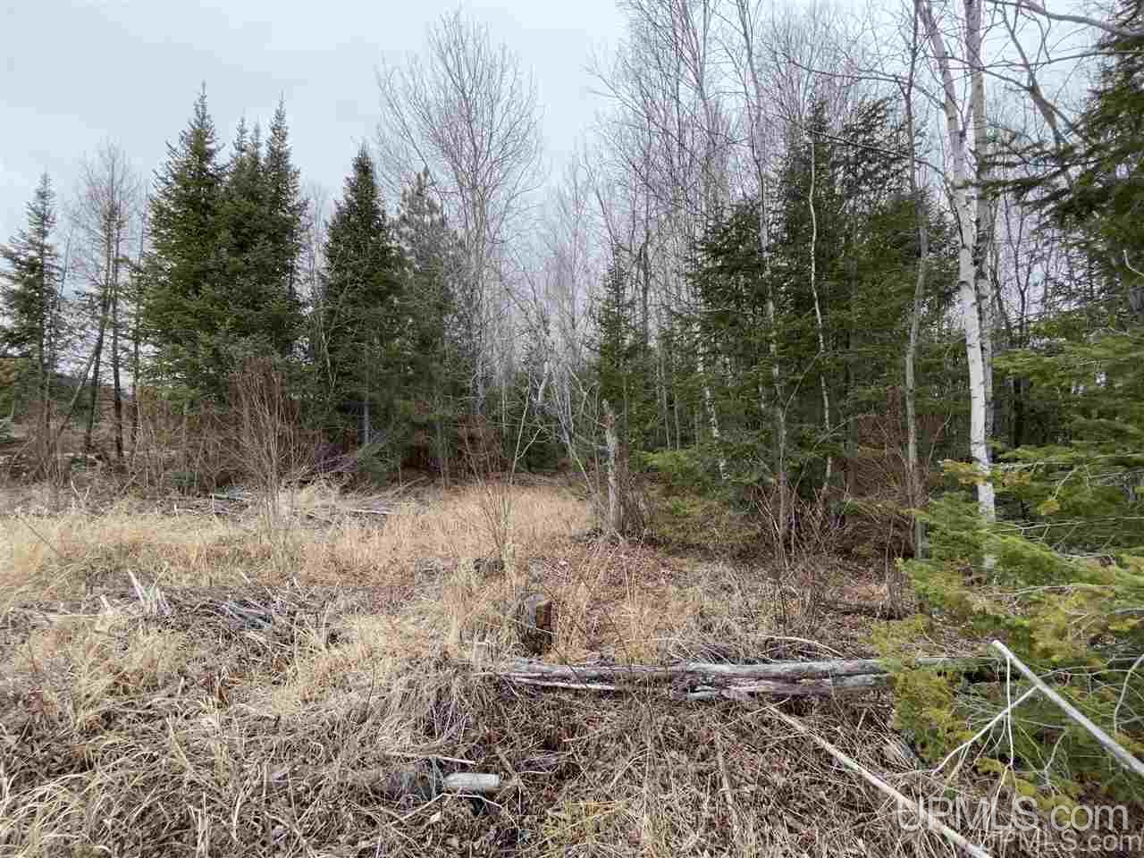 Tbd 2235 Road, Unit 3 Wetmore, MI 49895 - Photo 4 of 13