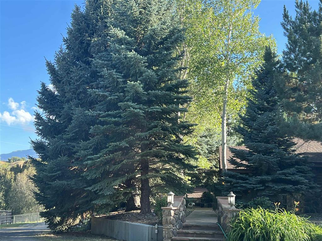 366 6Qs Road Cody, WY 82414 - Photo 45 of 85 Gallery Image 45
