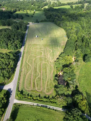 a view of a garden with a pathway