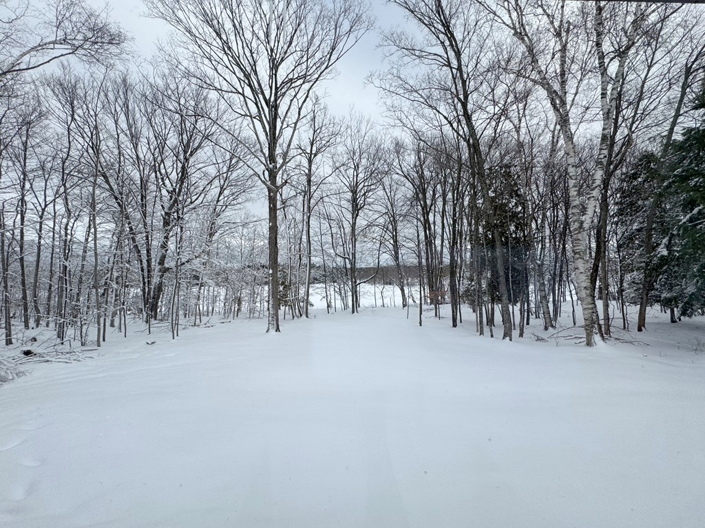 1740 Mountain Road Washington Island, WI 54246 - Photo 6 of 20 Gallery Image 6