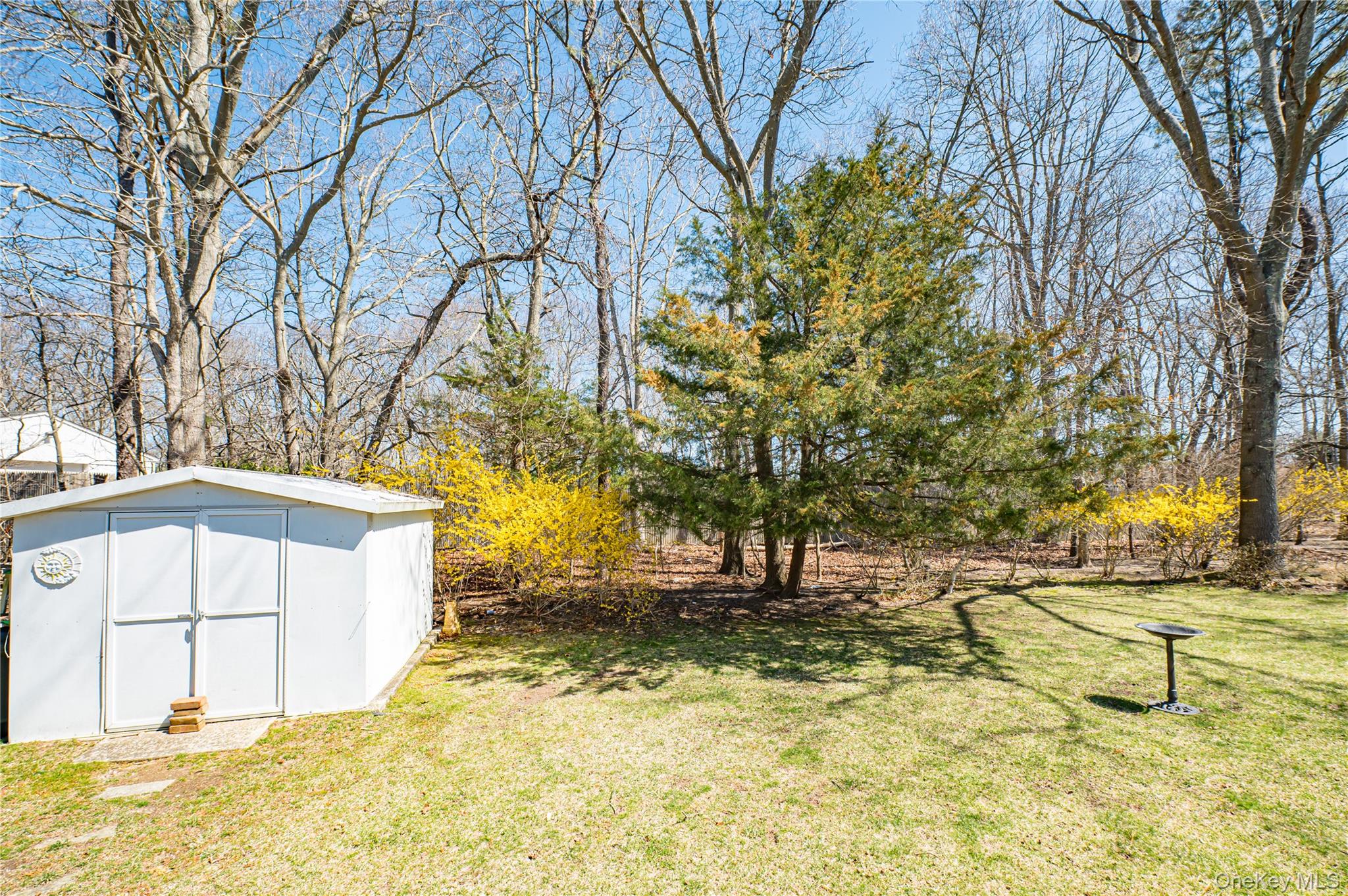 1407 Middle Road, Unit 6 Calverton, NY 11933 - Photo 23 of 25 a view of backyard with large trees
