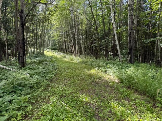 Tbd North Moose Lake Road Northeast Pennington, MN 56663 - Photo 10 of 26