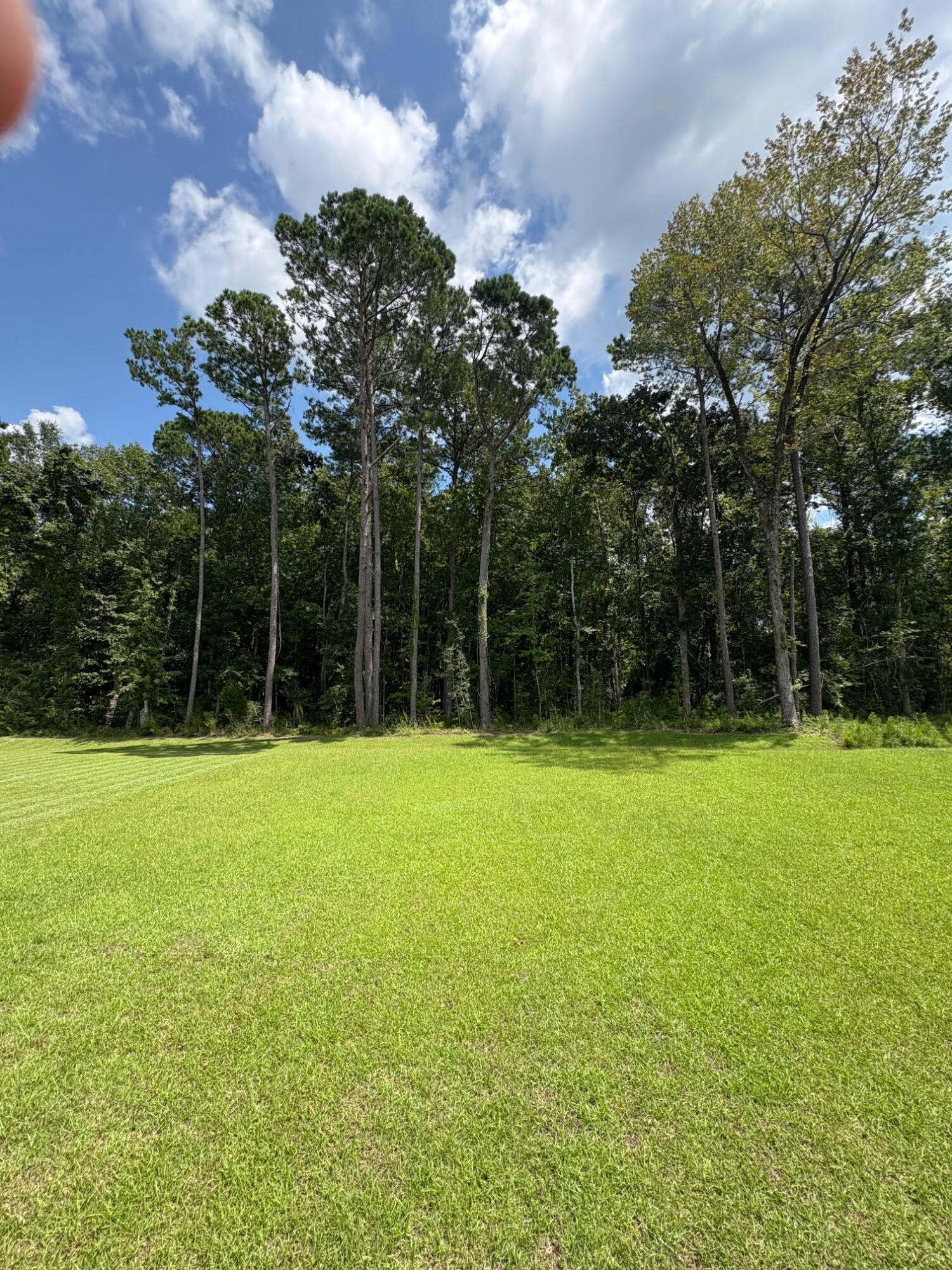 3845 Delinger Drive Mount Pleasant, SC 29429 - Photo 47 of 63 Pic17