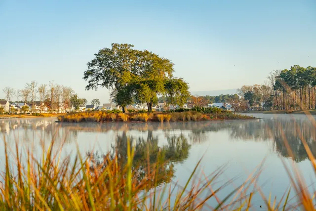 $2,270,000 | 3845 Delinger Drive, Mount Pleasant, SC 29429