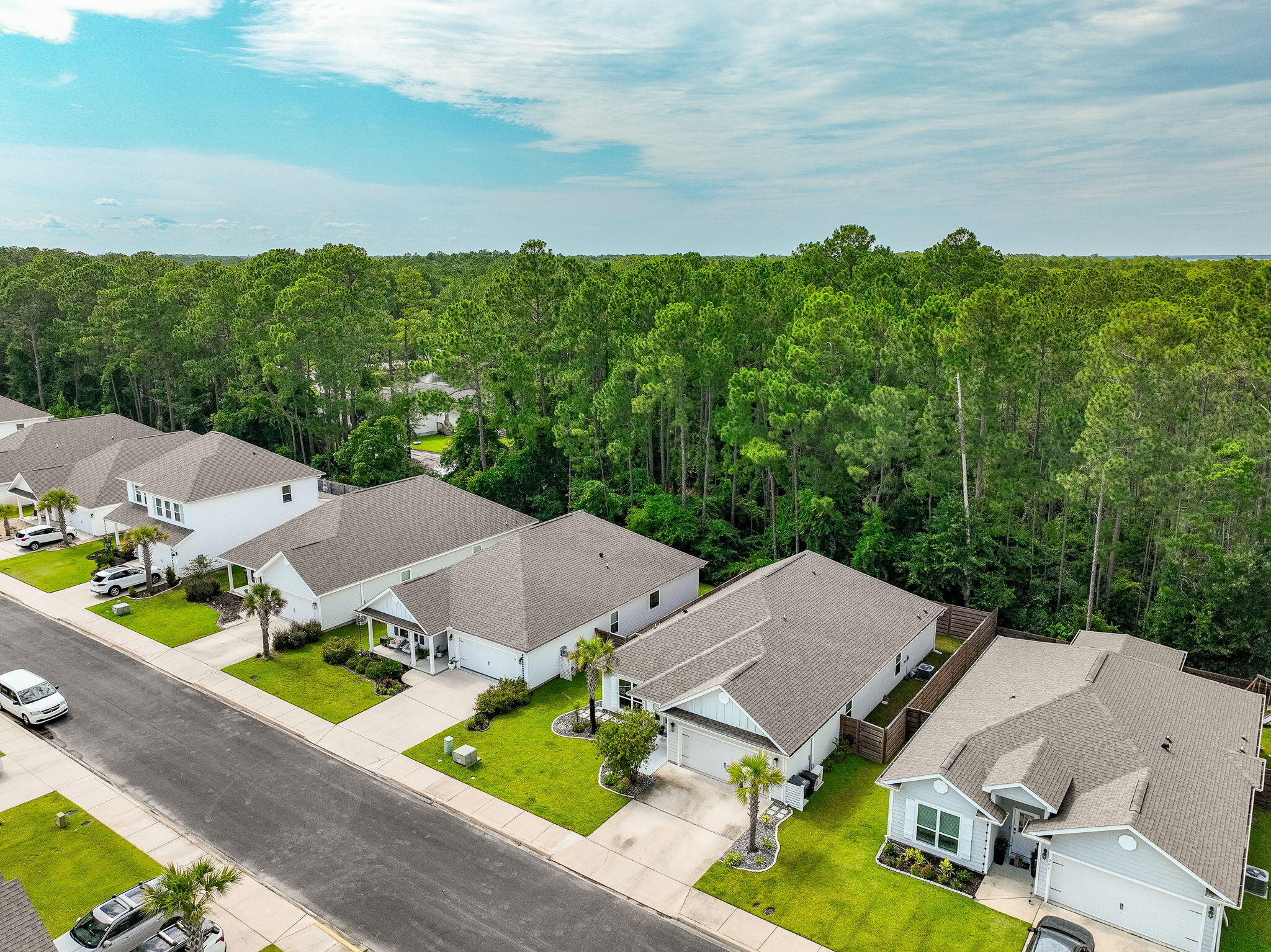 199 Southern Pnes Road Santa Rosa Beach, FL 32459 - Photo 39 of 44 an aerial view of a house with garden space and street view