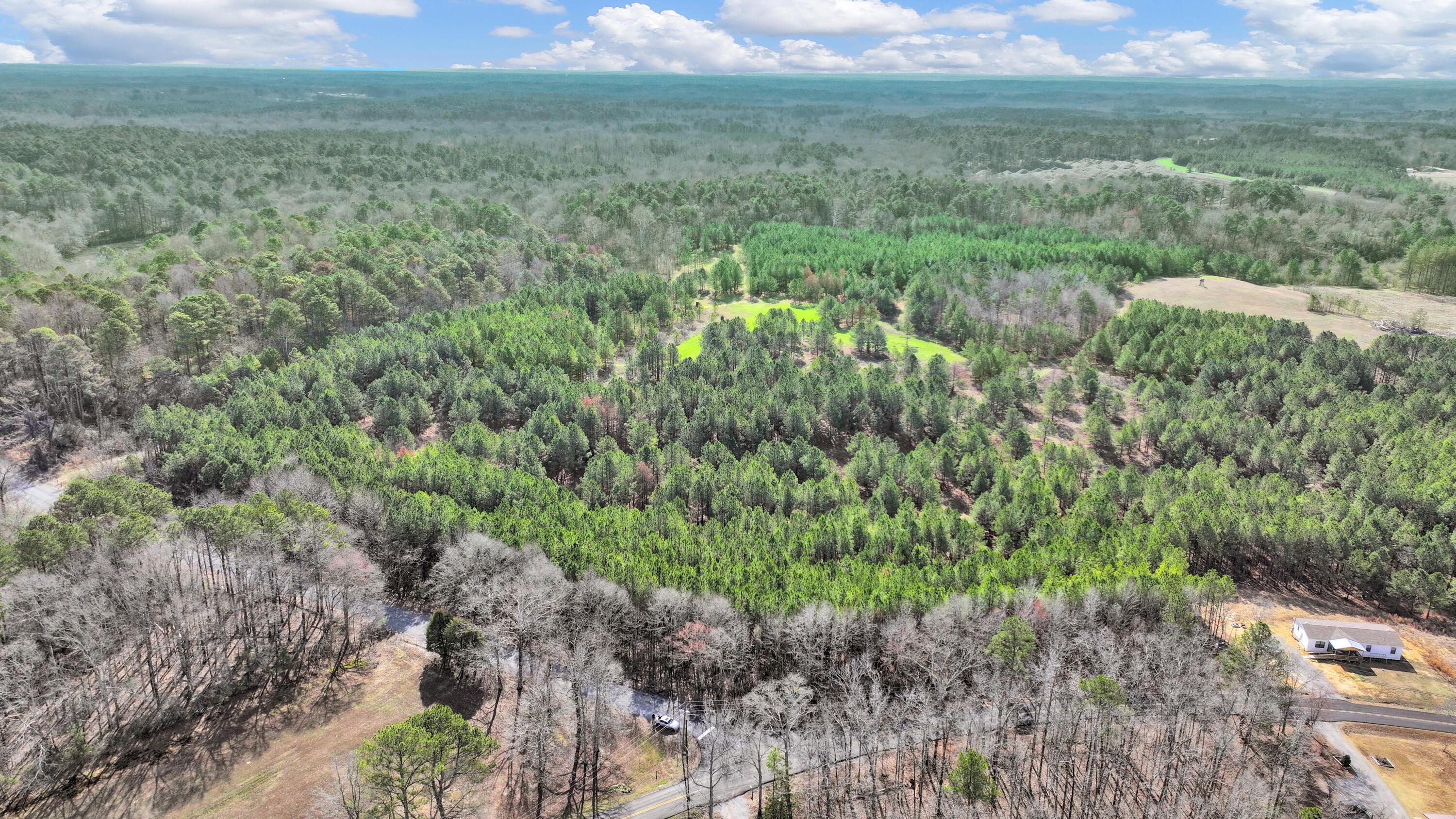Lot 2 Duncan Road Nauvoo, AL 35578 - Photo 13 of 28 Gallery Image 13