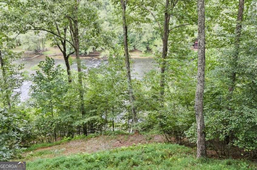 92 Fish Trap Road, Unit 10 Blue Ridge, GA 30513 - Photo 31 of 31