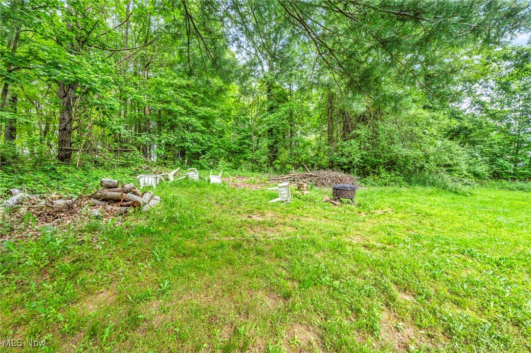 3954 Homestead Road Ravenna, OH 44266 - Photo 43 of 46 View of yard