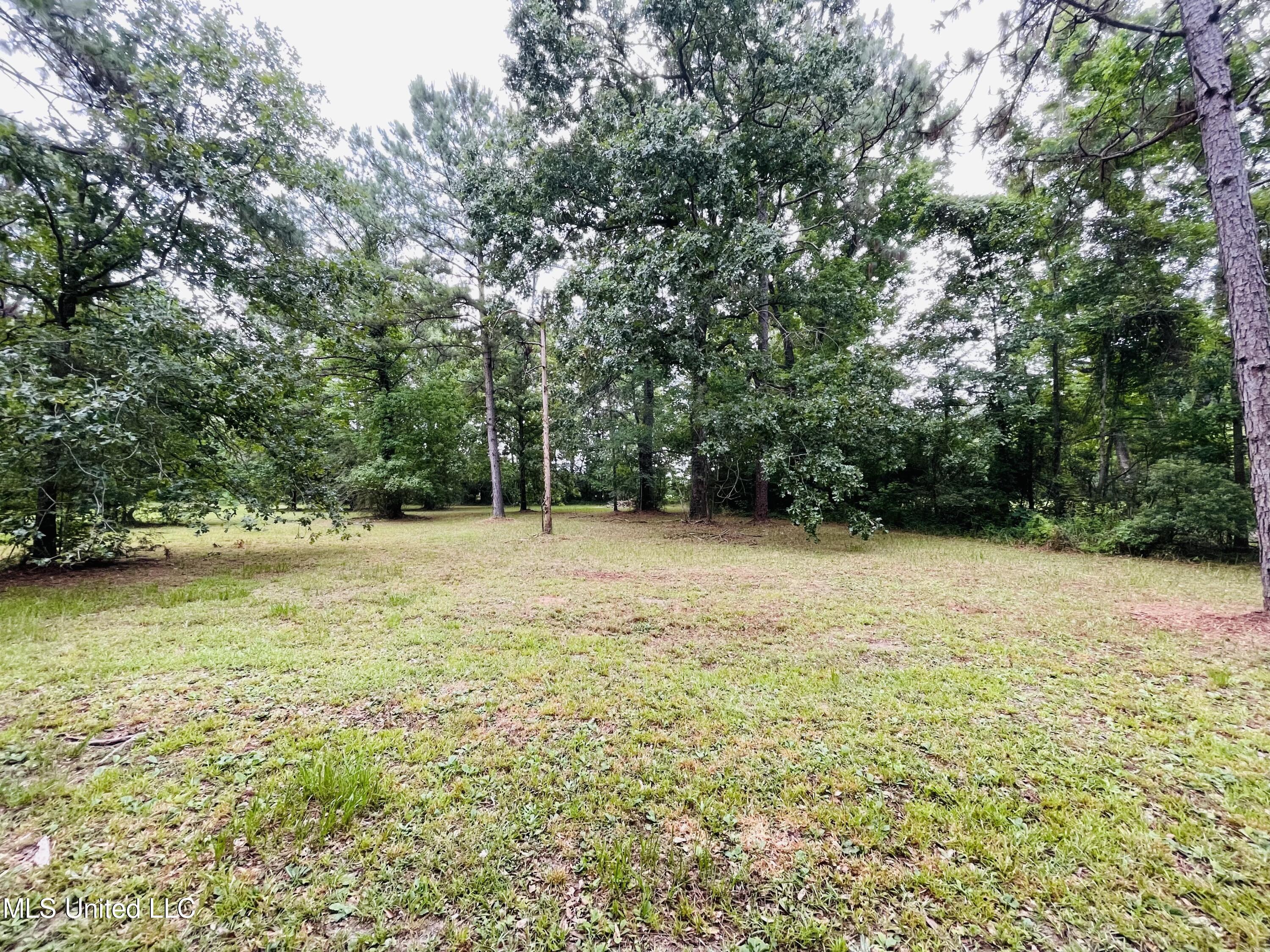26300 Ivy Emerson Road Lucedale, MS 39452 - Photo 17 of 52 IMG_5466