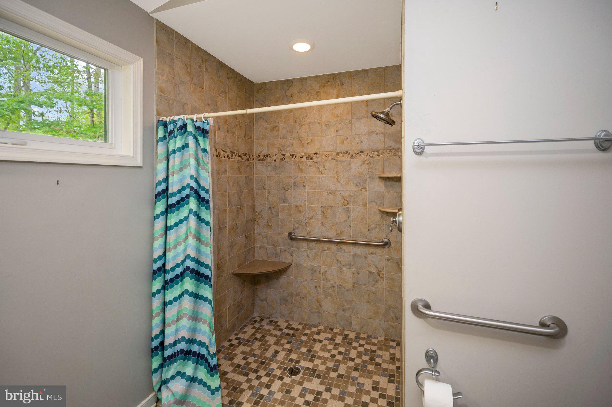 130 Springwood Drive, Unit RENTAL Fredericksburg, VA 22401 - Photo 31 of 39 Stylish shower with natural light.