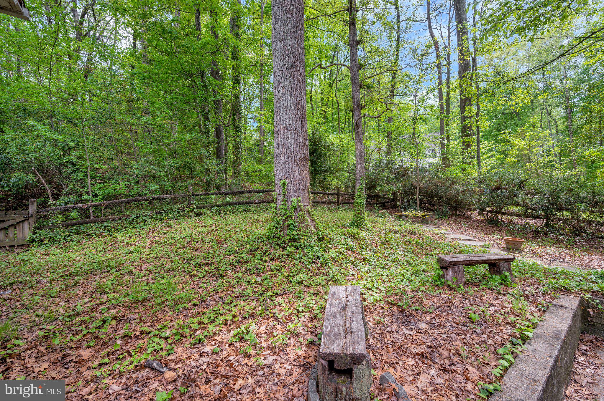 130 Springwood Drive, Unit RENTAL Fredericksburg, VA 22401 - Photo 33 of 39 Serene woodland retreat awaits you.
