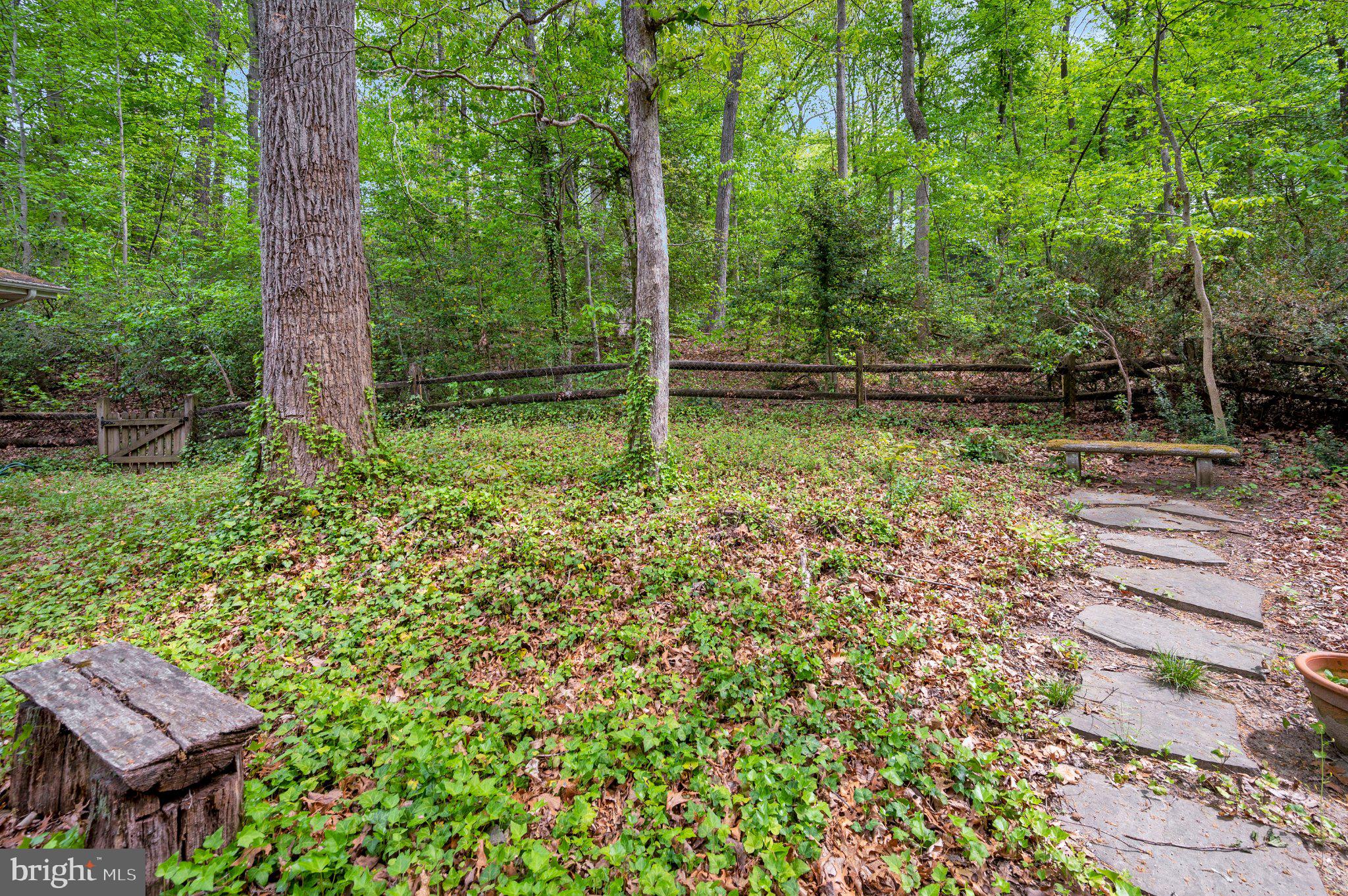 130 Springwood Drive, Unit RENTAL Fredericksburg, VA 22401 - Photo 35 of 39 Serene woodland retreat awaits you.