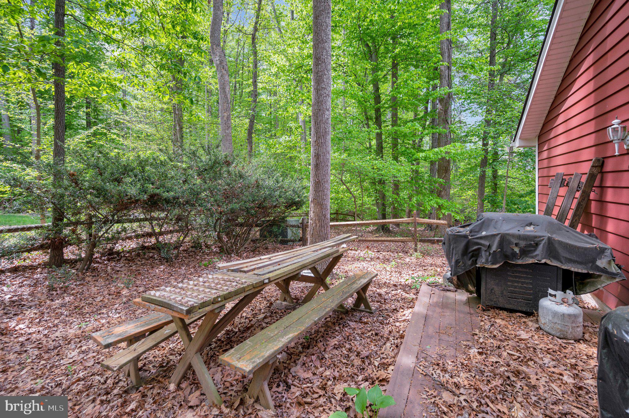 130 Springwood Drive, Unit RENTAL Fredericksburg, VA 22401 - Photo 36 of 39 Secluded retreat in lush greenery.