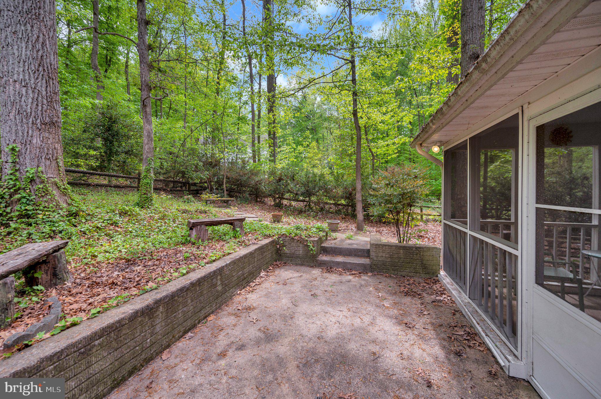 130 Springwood Drive, Unit RENTAL Fredericksburg, VA 22401 - Photo 39 of 39 Serene woodland retreat awaits you.