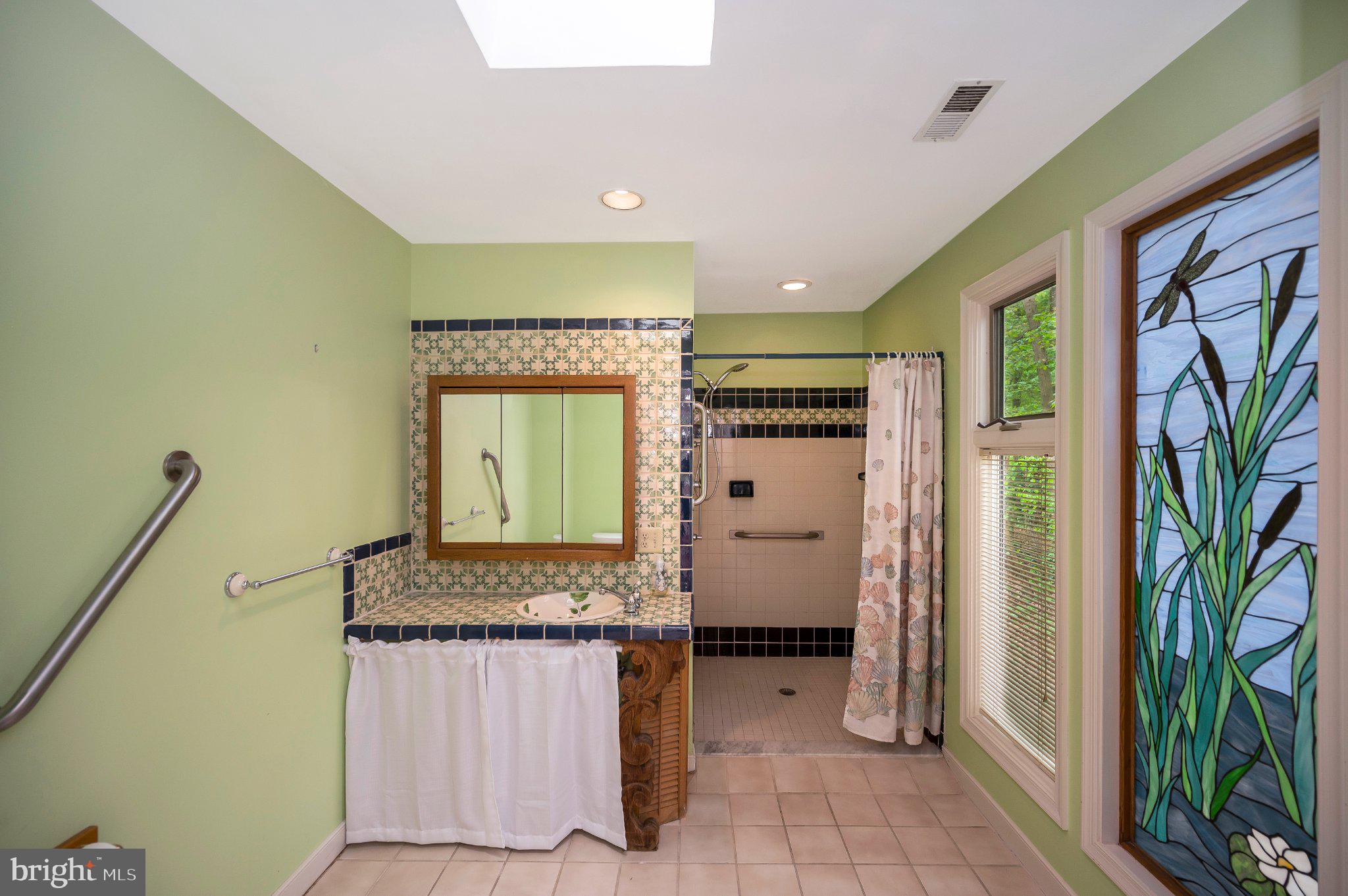 130 Springwood Drive, Unit RENTAL Fredericksburg, VA 22401 - Photo 9 of 39 Serene bathroom with vibrant accents.