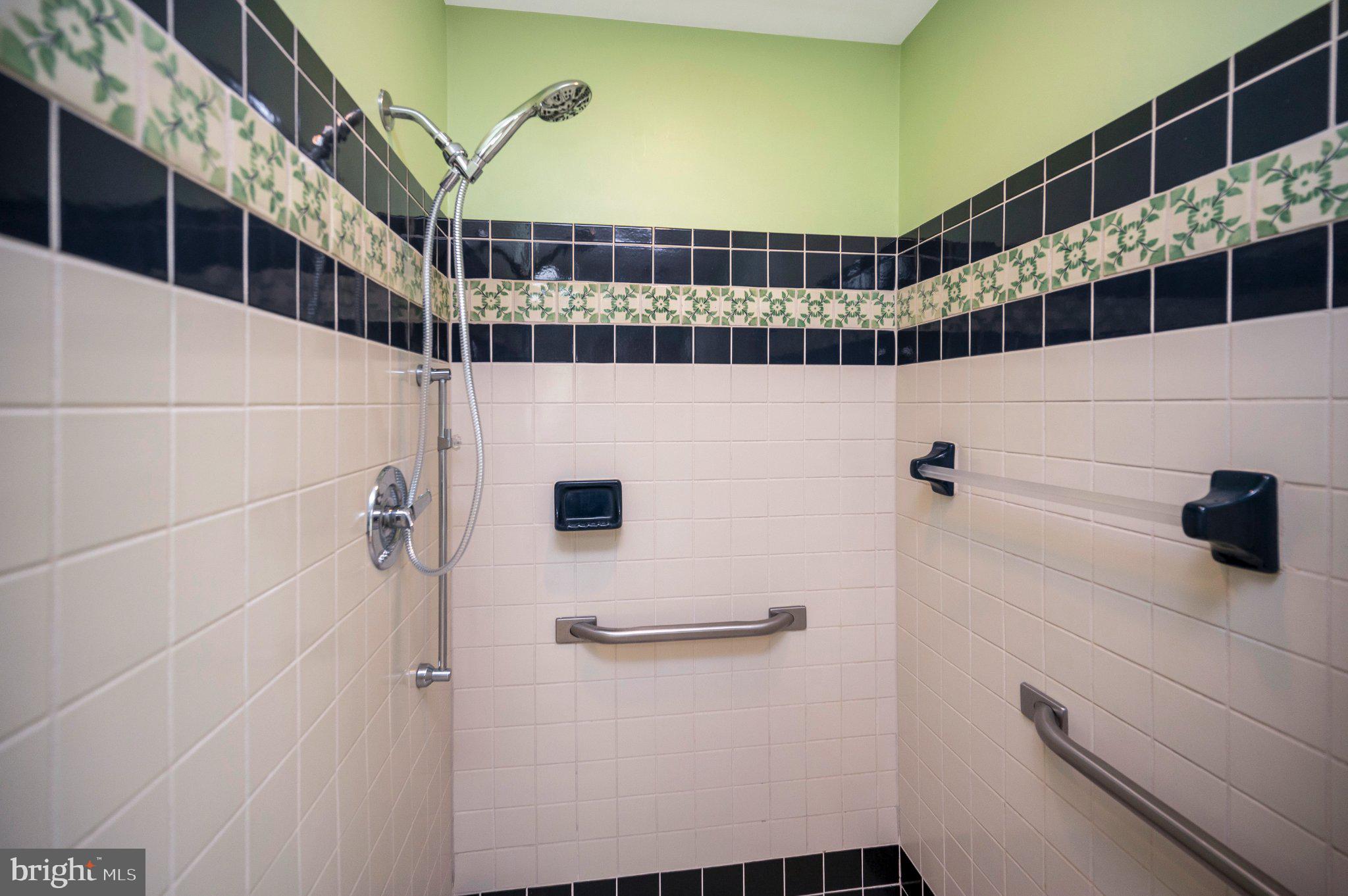 130 Springwood Drive, Unit RENTAL Fredericksburg, VA 22401 - Photo 10 of 39 Stylish shower with modern accents.