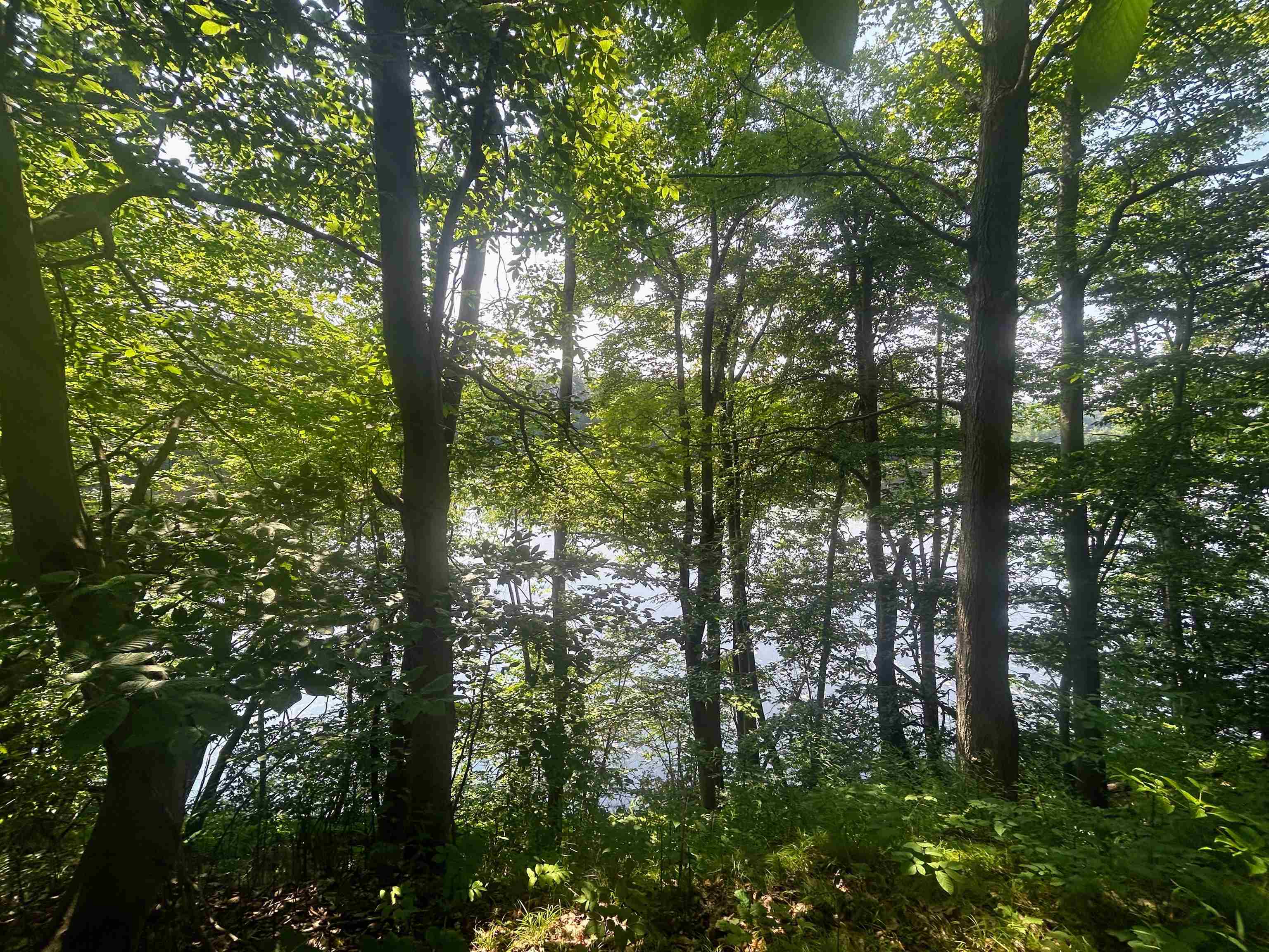 1055 Youngs Road Springfield, VT 05156 - Photo 2 of 7