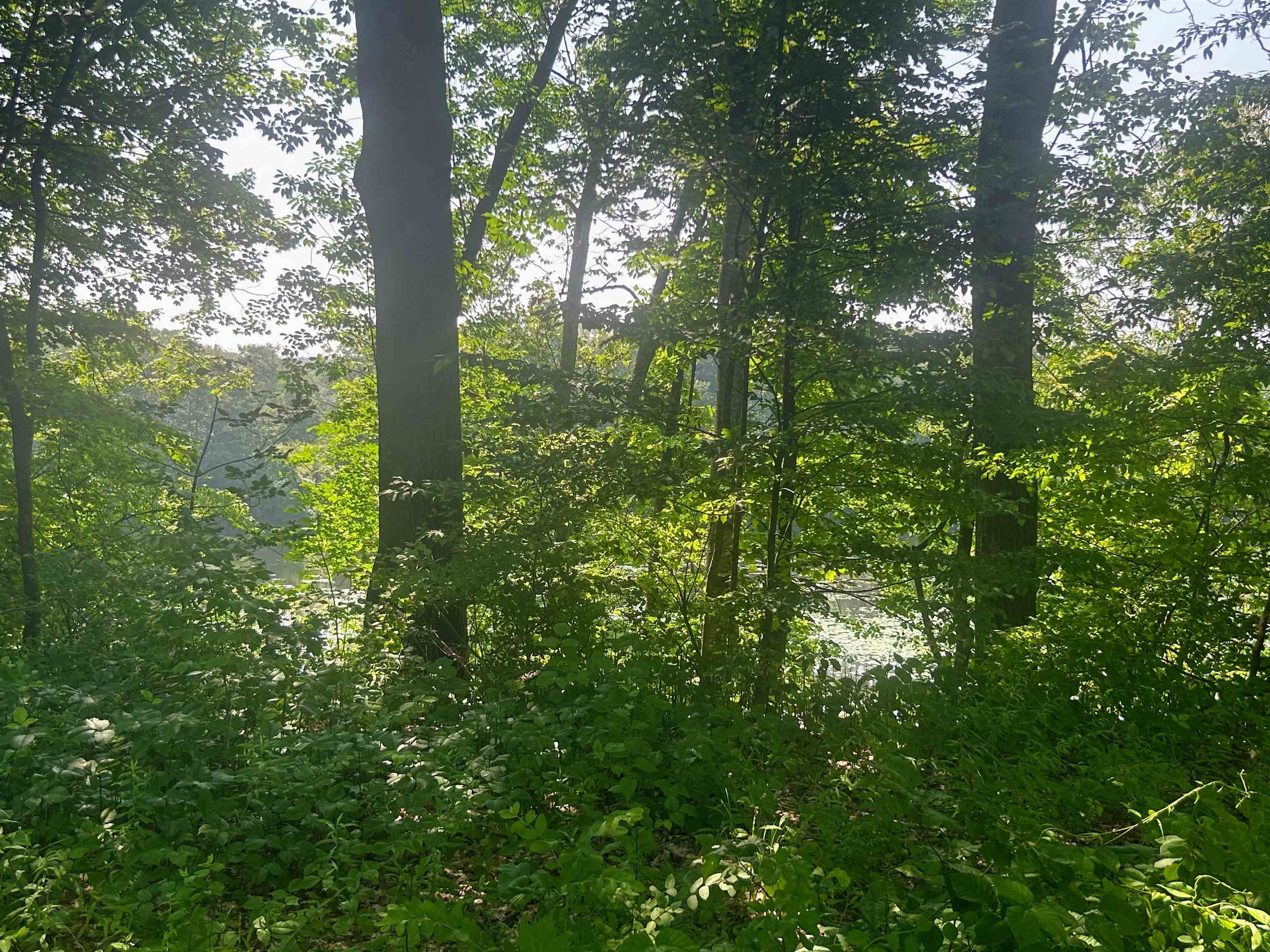 1055 Youngs Road Springfield, VT 05156 - Photo 5 of 7