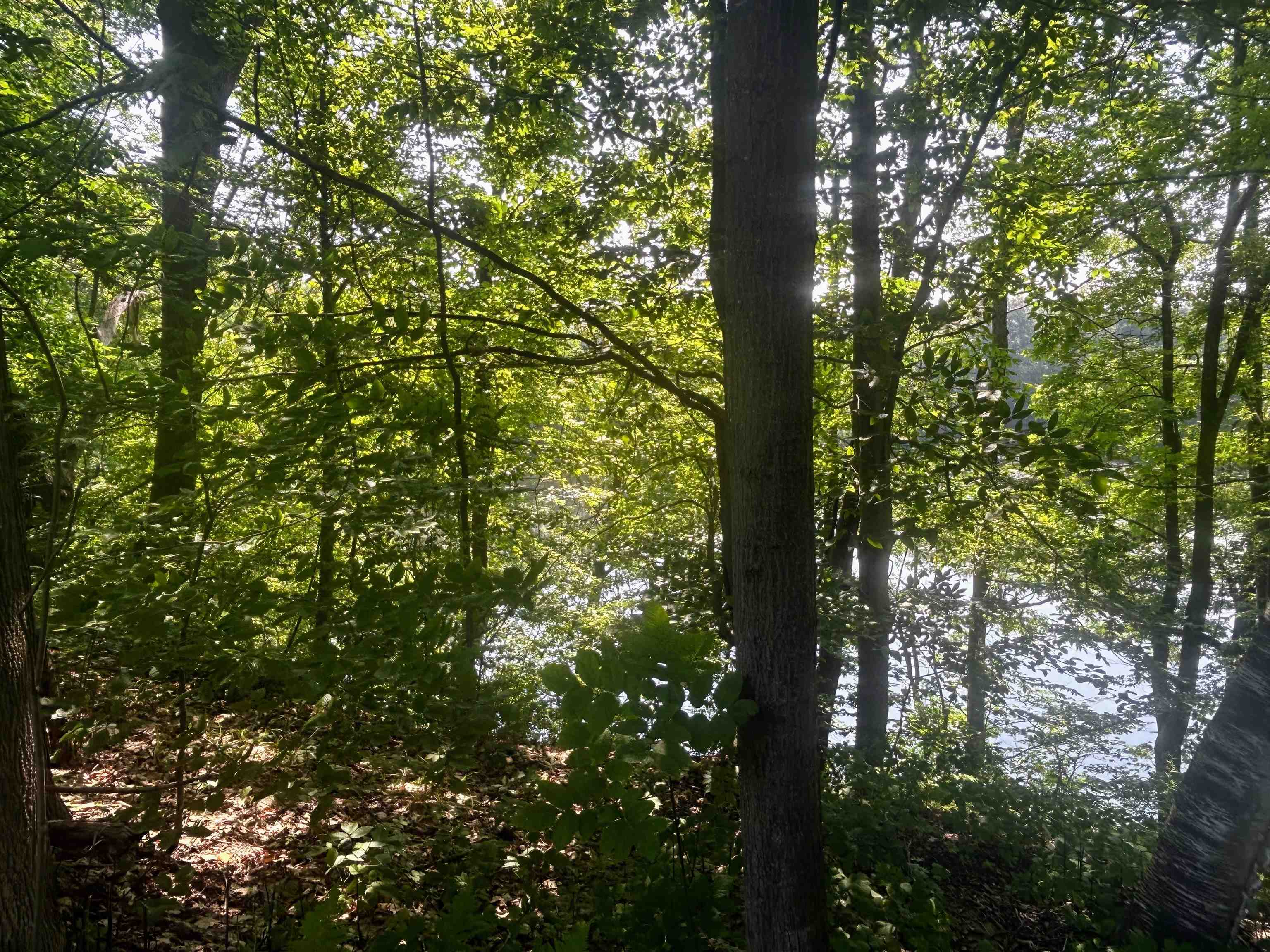 1055 Youngs Road Springfield, VT 05156 - Photo 7 of 7