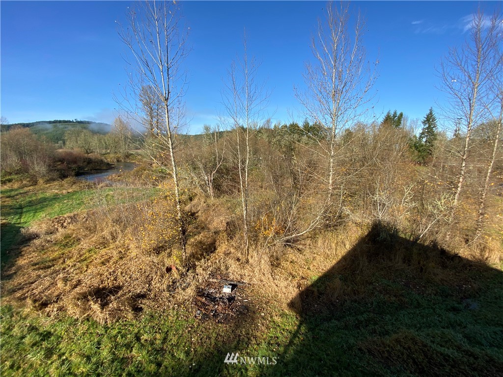 598 Boistfort Road Curtis, WA 98538 - Photo 23 of 25