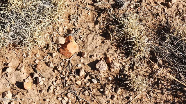 $30,000 | 3433 Red Butte Road, Williams, AZ 86046