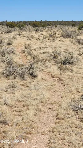 $30,000 | 3433 Red Butte Road, Williams, AZ 86046