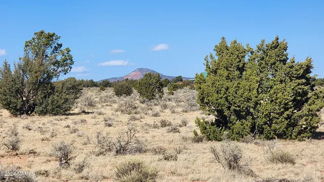 $30,000 | 3433 Red Butte Road, Williams, AZ 86046