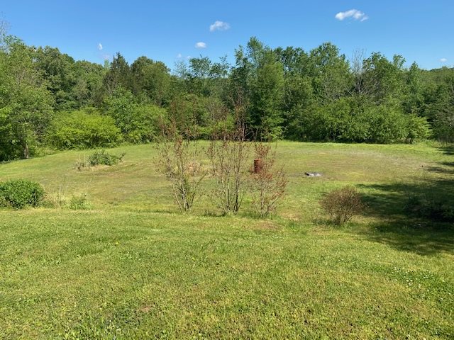 2102 Finger Leapwood Road Finger, TN 38334 - Photo 22 of 24