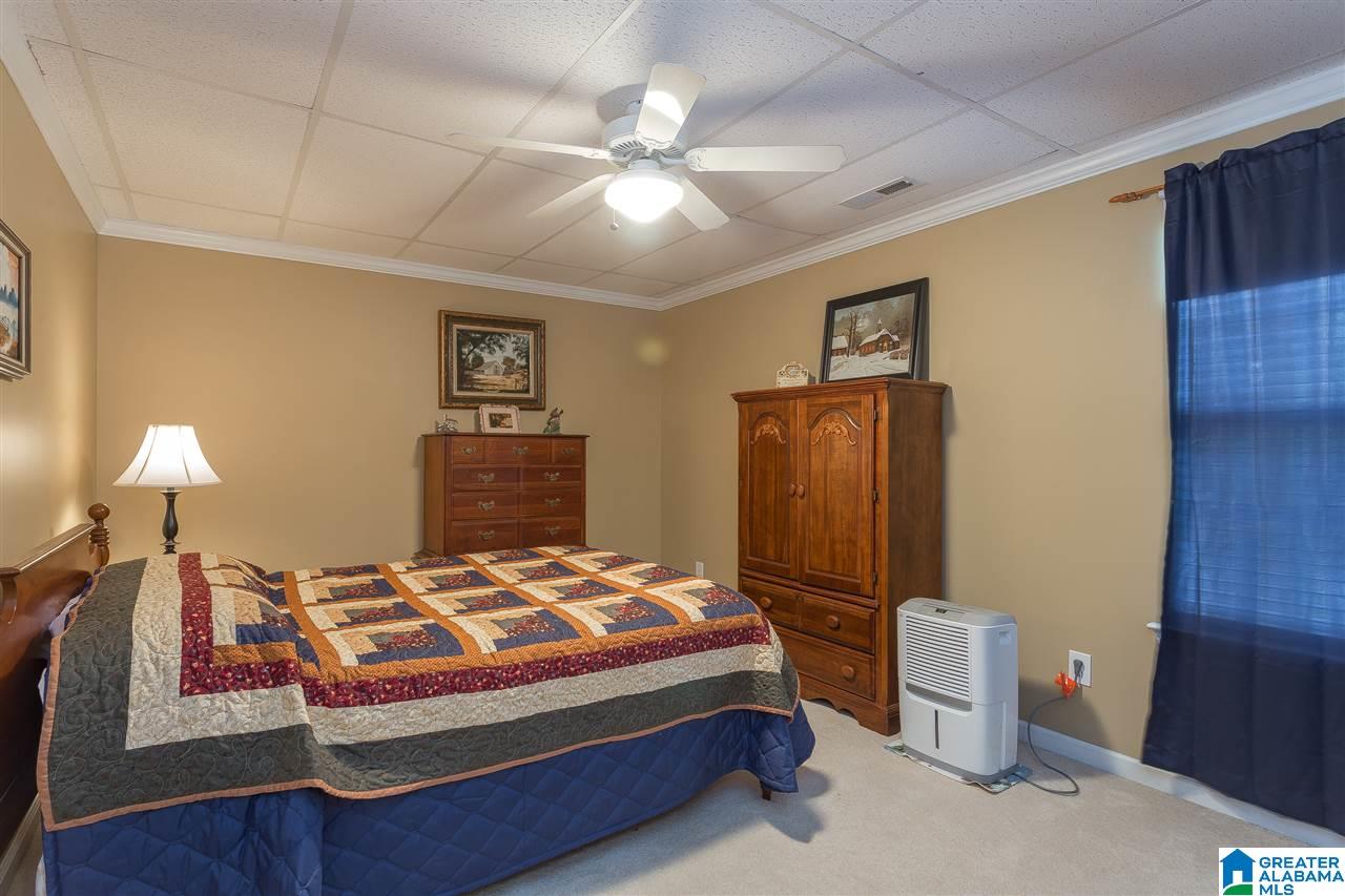 59 Lakeview Drive Oneonta, AL 35121 - Photo 33 of 49