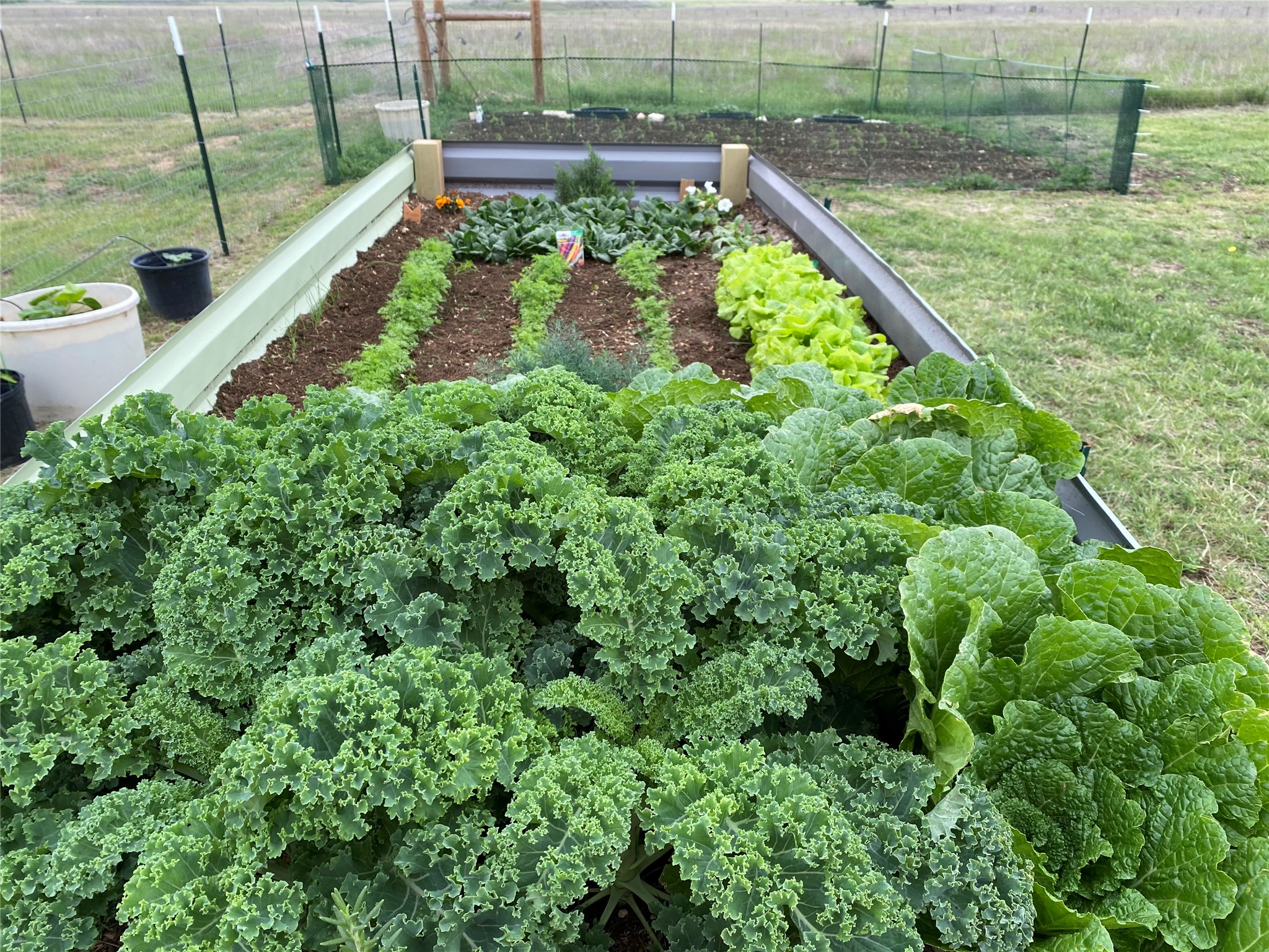 3083 Highway 138 Florence, TX 76527 - Photo 21 of 29