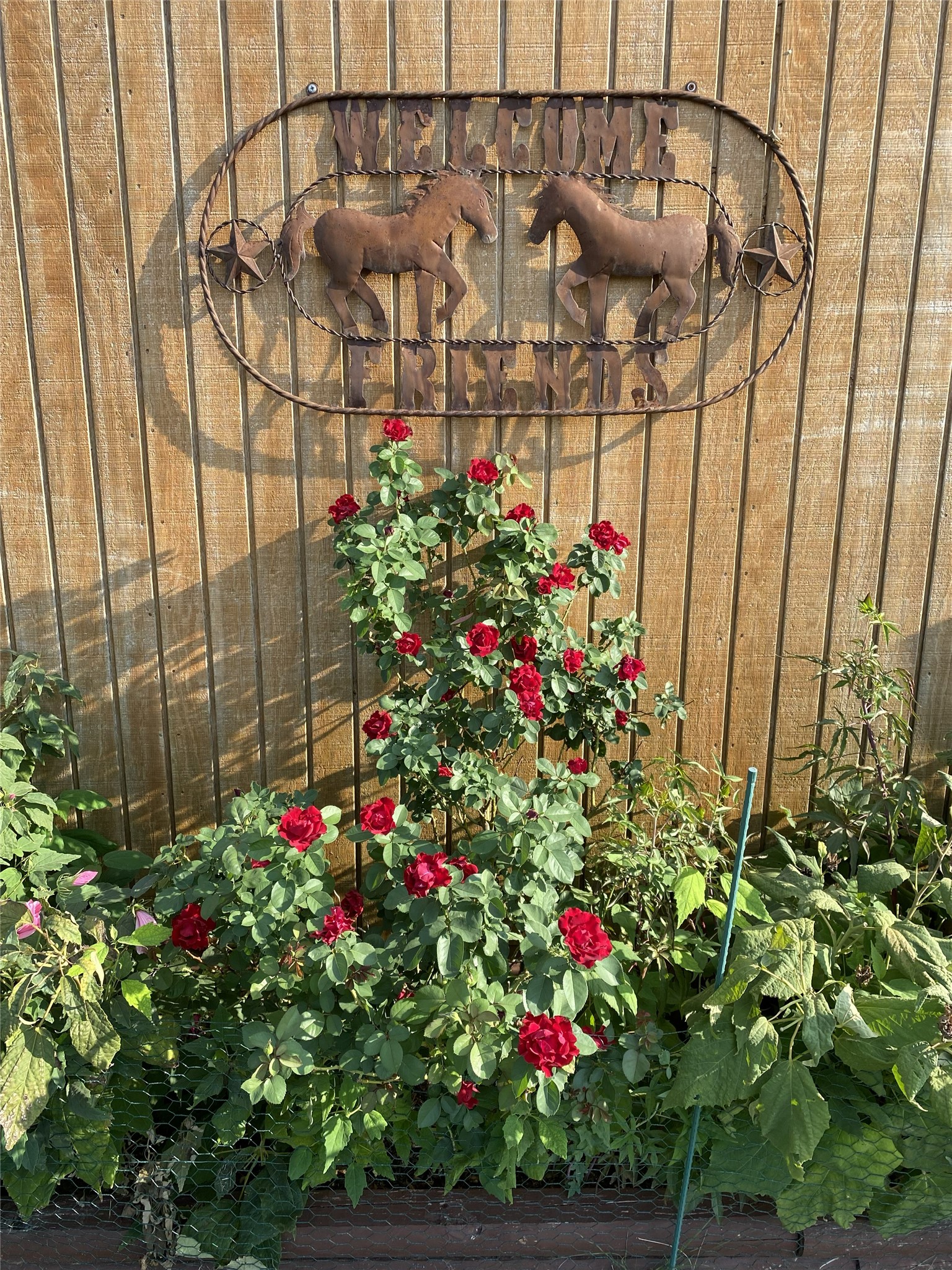 3083 Highway 138 Florence, TX 76527 - Photo 25 of 29