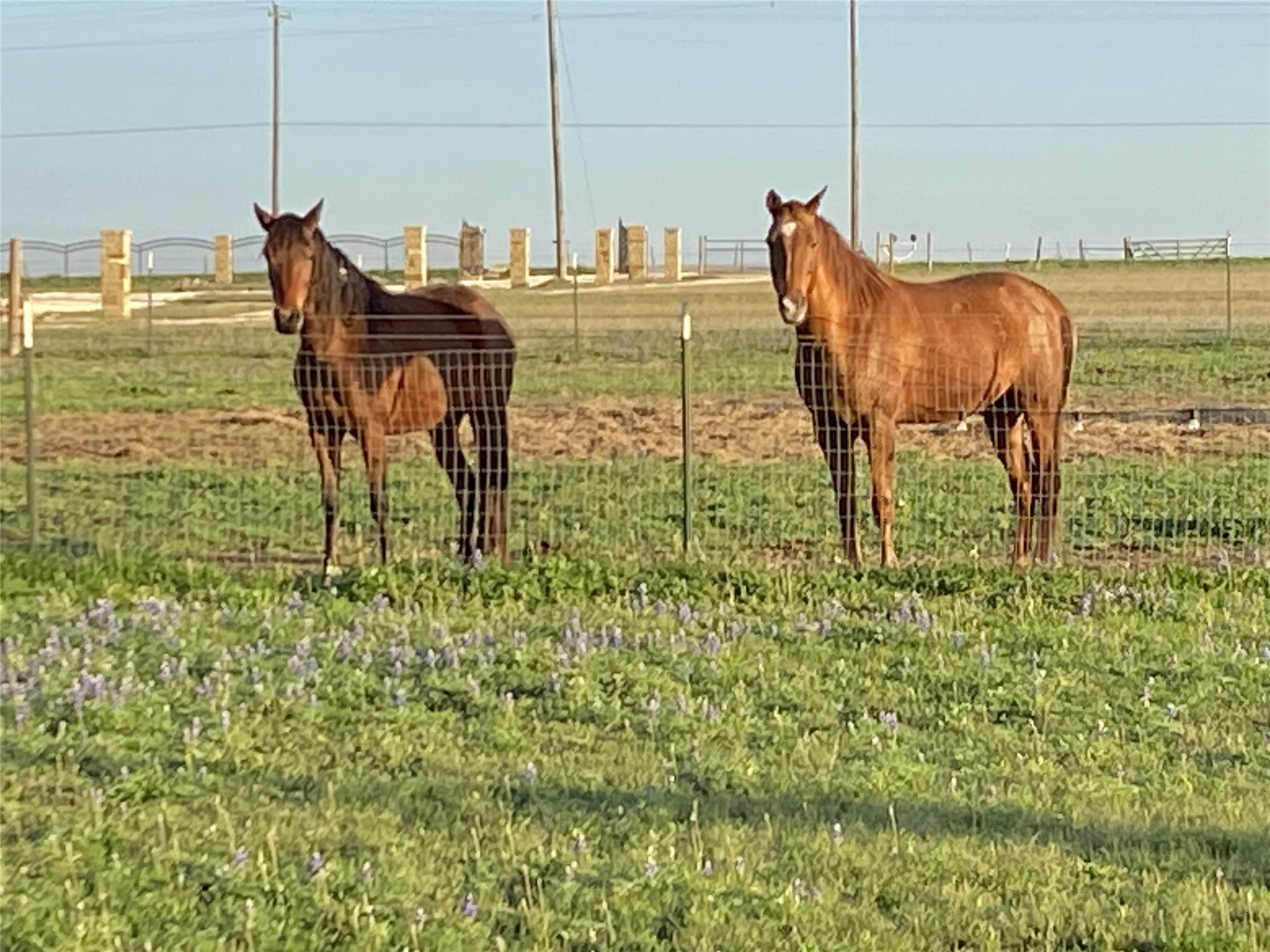 3083 Highway 138 Florence, TX 76527 - Photo 27 of 29