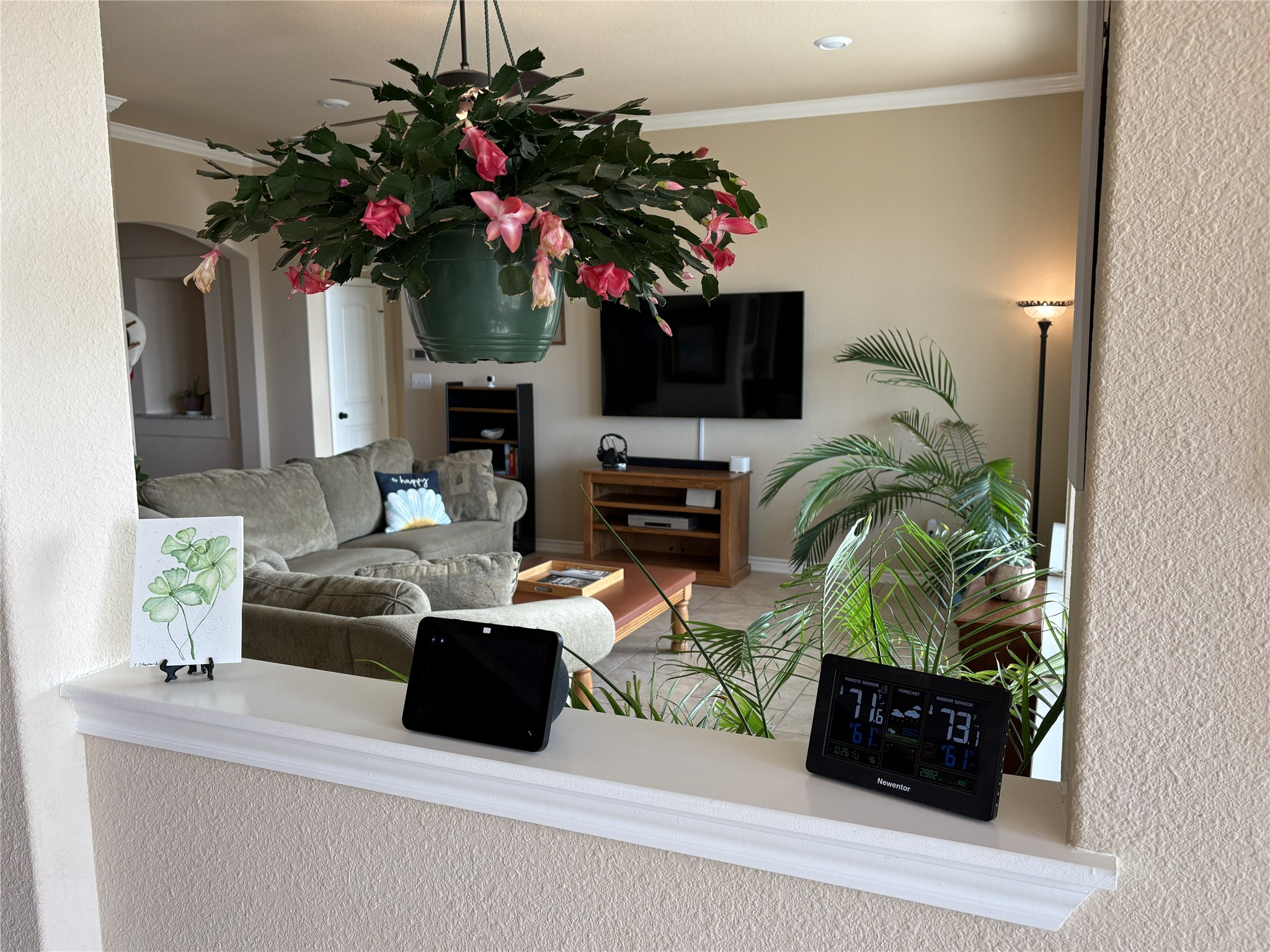 3083 Highway 138 Florence, TX 76527 - Photo 4 of 29