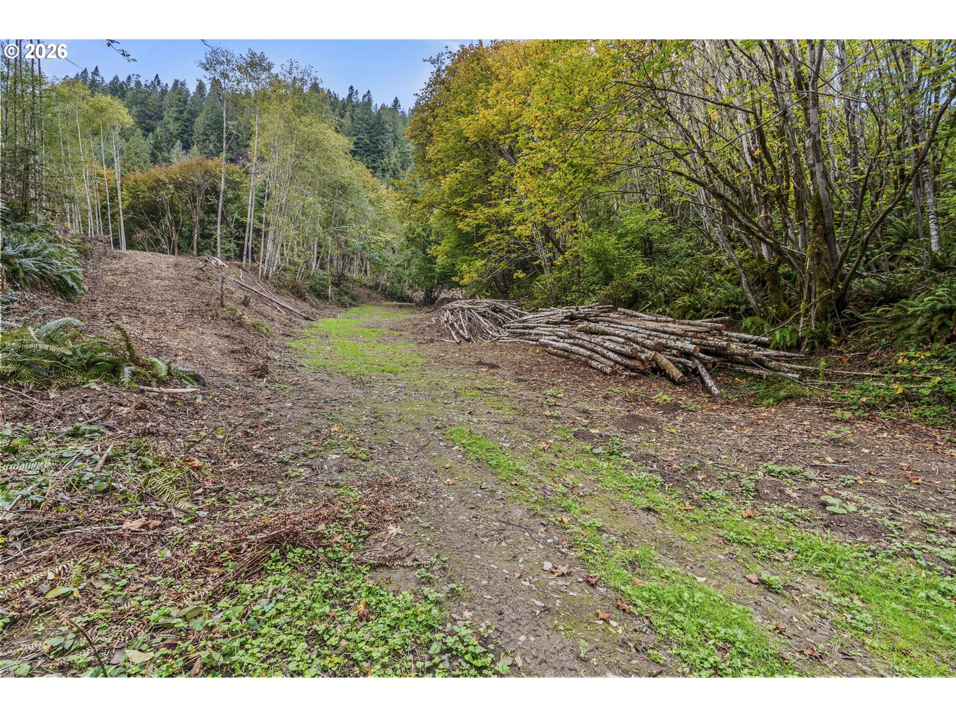 4 East State Route Cathlamet, WA 98612 - Photo 12 of 20 a view of a yard with a tree