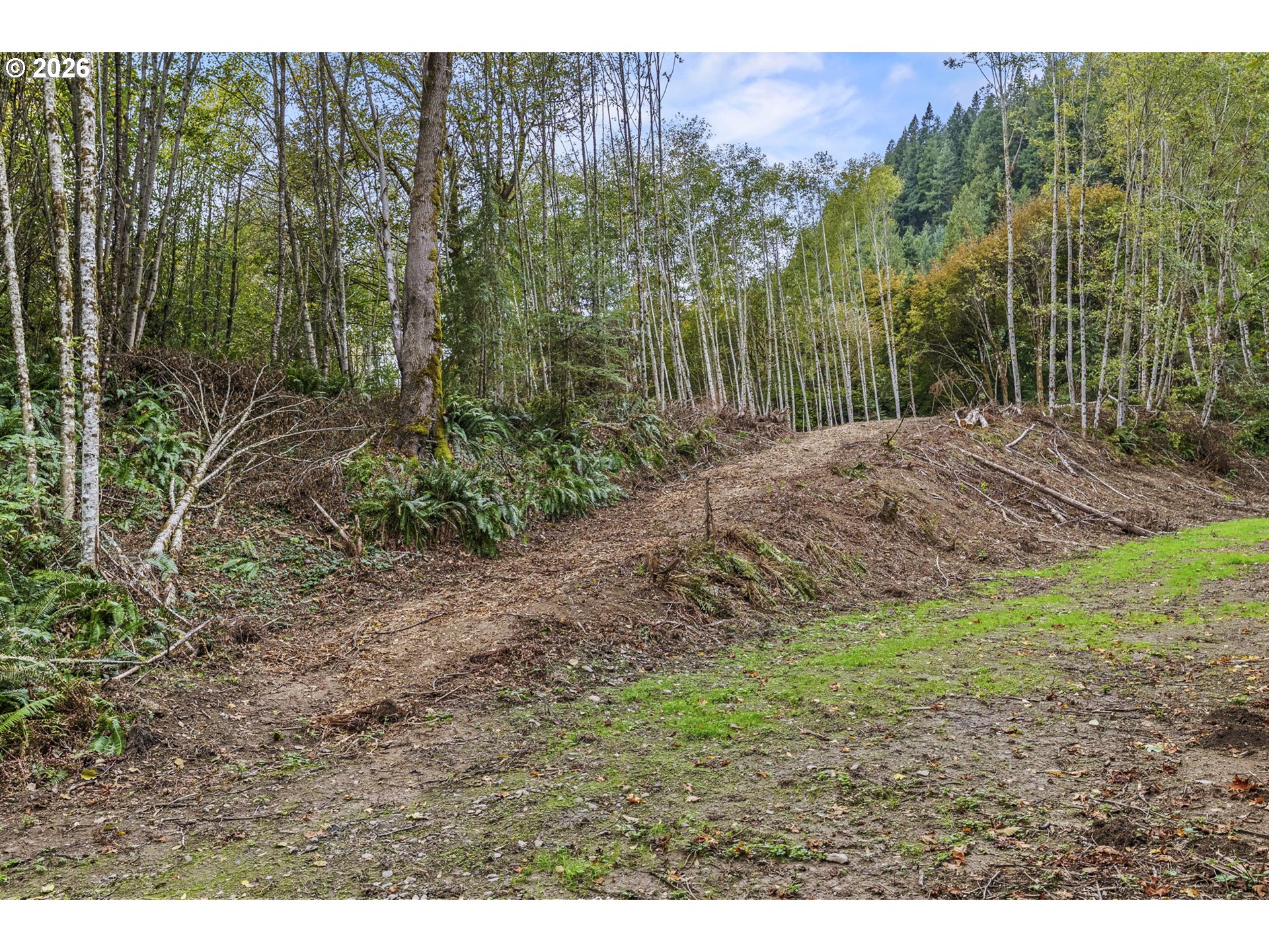 4 East State Route Cathlamet, WA 98612 - Photo 13 of 20 a view of a yard with plants and large trees