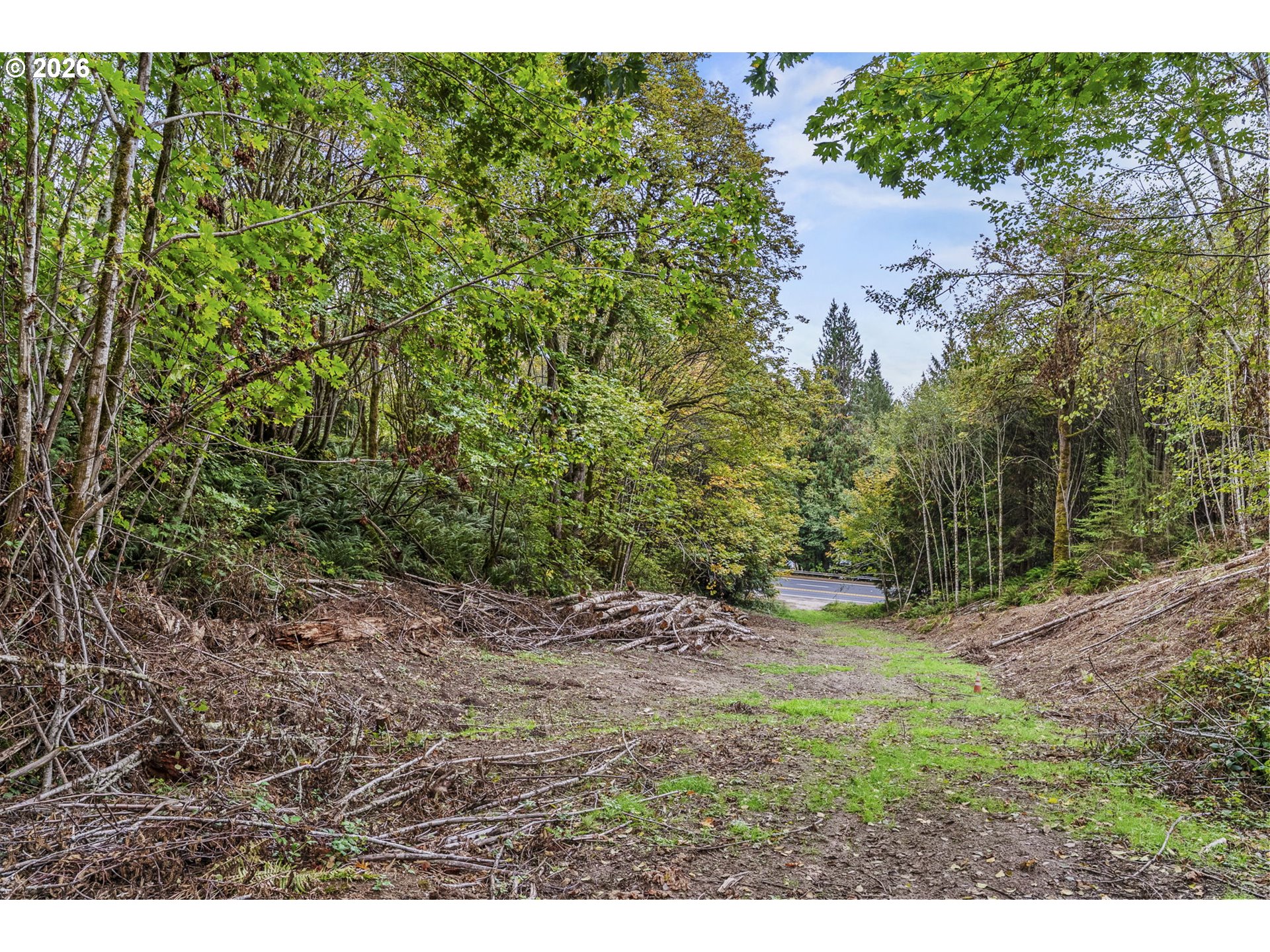 4 East State Route Cathlamet, WA 98612 - Photo 15 of 20 a view of a yard with a tree