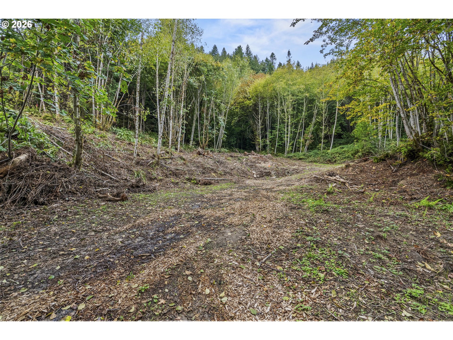 4 East State Route Cathlamet, WA 98612 - Photo 16 of 20 a view of a yard with a tree
