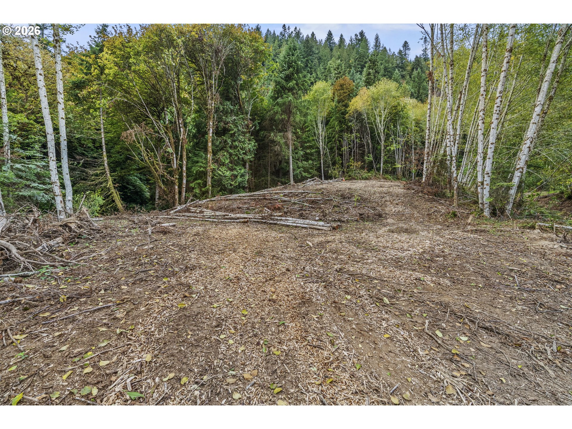 4 East State Route Cathlamet, WA 98612 - Photo 17 of 20 a view of a yard with trees in the background