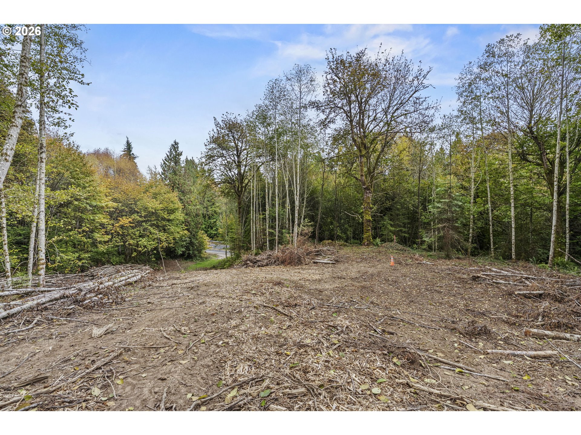 4 East State Route Cathlamet, WA 98612 - Photo 18 of 20 a view of a yard with trees in front of it