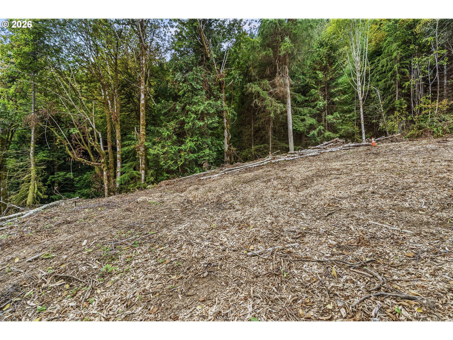4 East State Route Cathlamet, WA 98612 - Photo 19 of 20 a view of a yard with trees