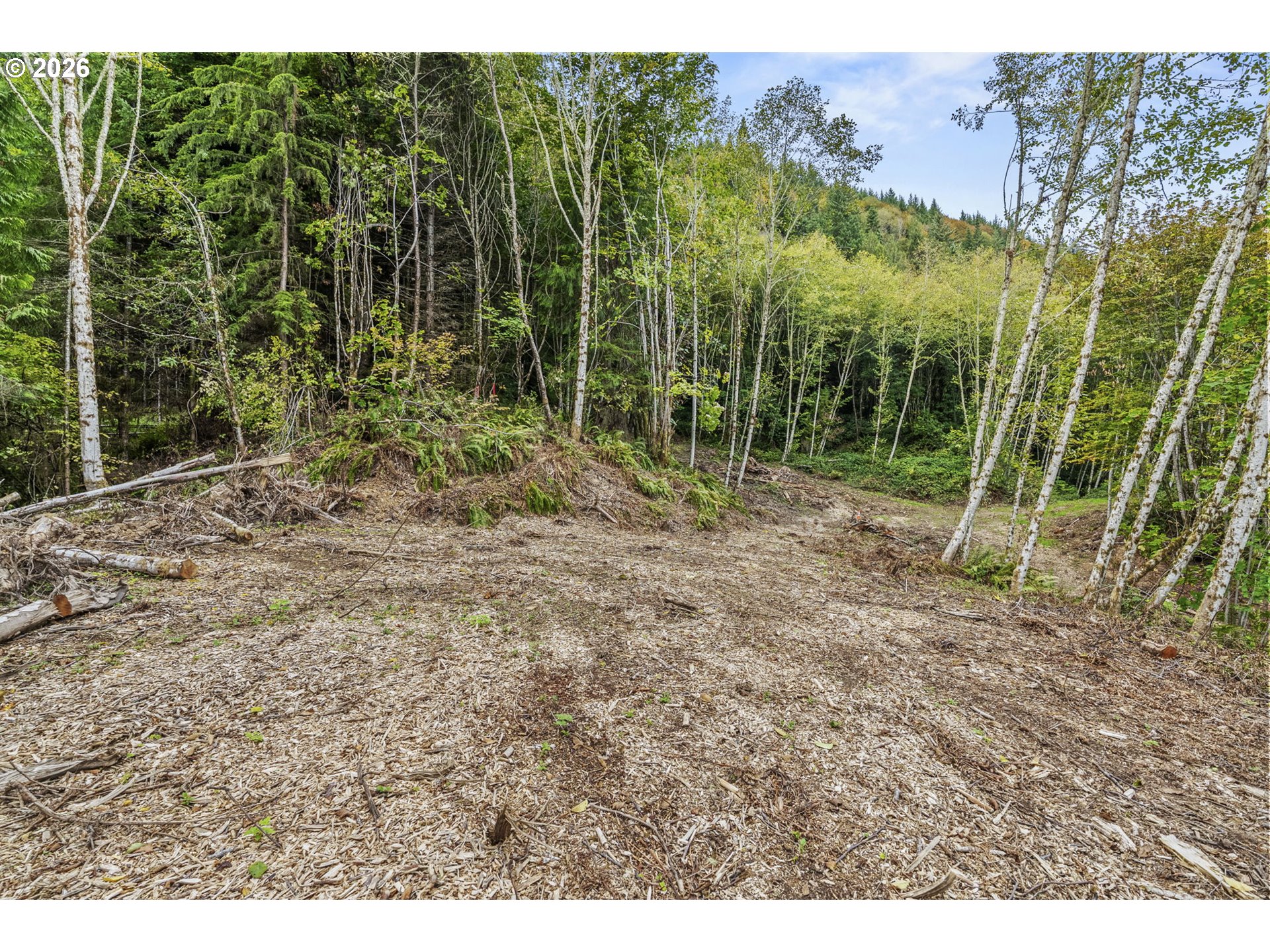4 East State Route Cathlamet, WA 98612 - Photo 20 of 20 a view of a yard with a large tree