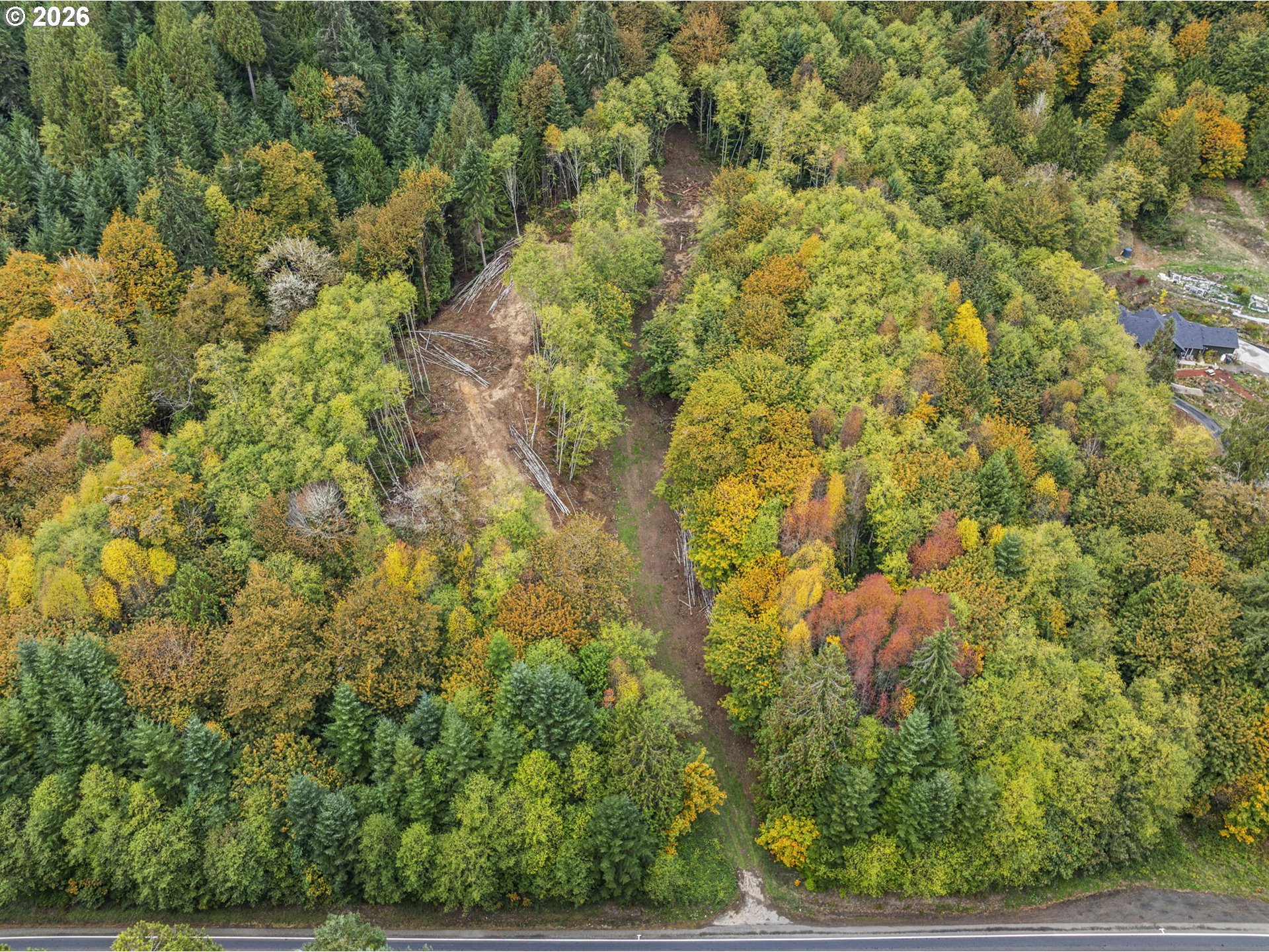 4 East State Route Cathlamet, WA 98612 - Photo 6 of 20 a view of a yard