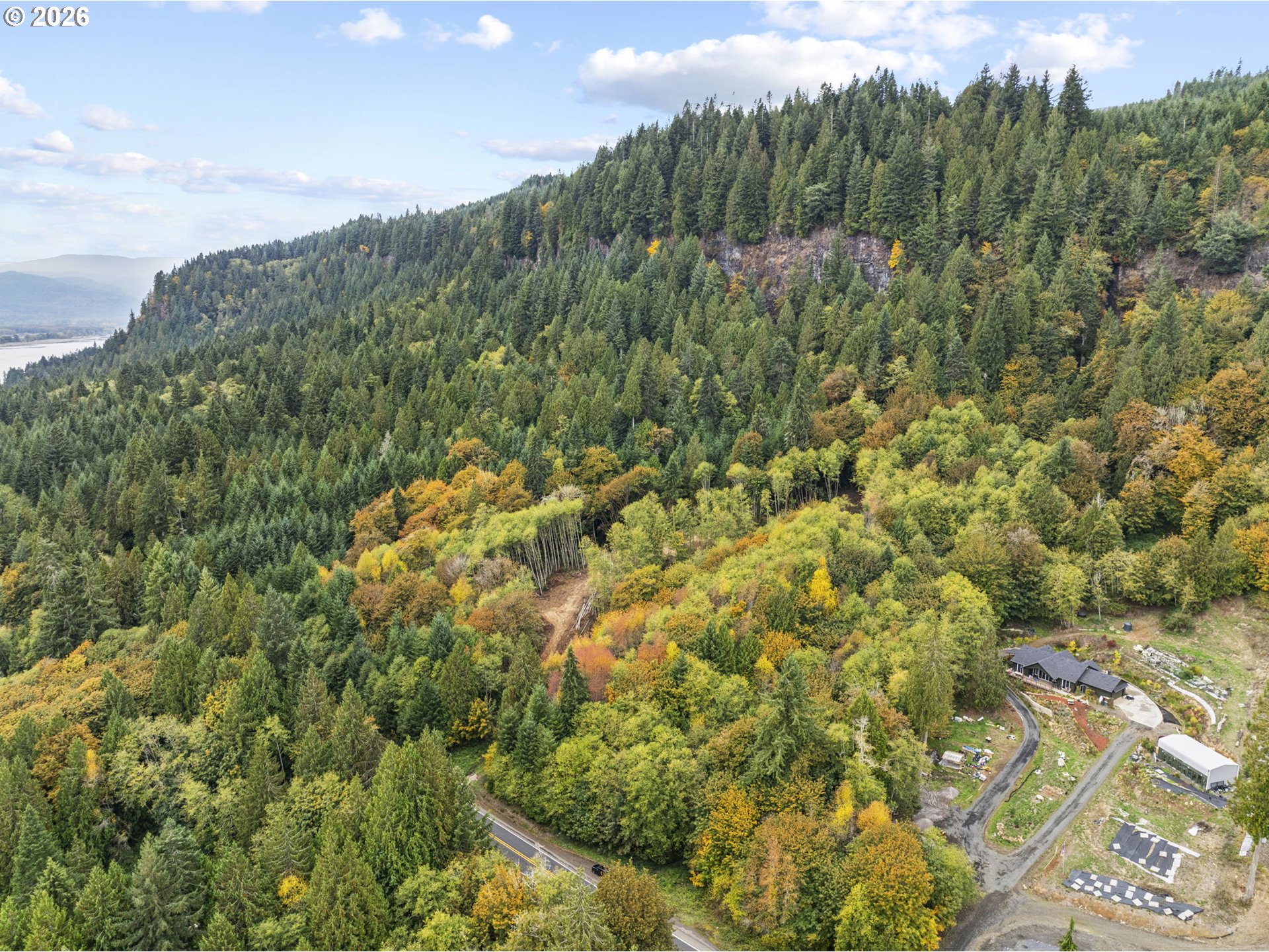 4 East State Route Cathlamet, WA 98612 - Photo 9 of 20 a view of a forest with a lush green forest