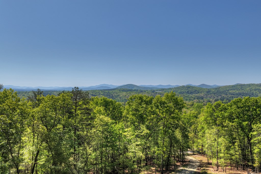 769 Voylestown Road Morganton, GA 30560 - Photo 29 of 67